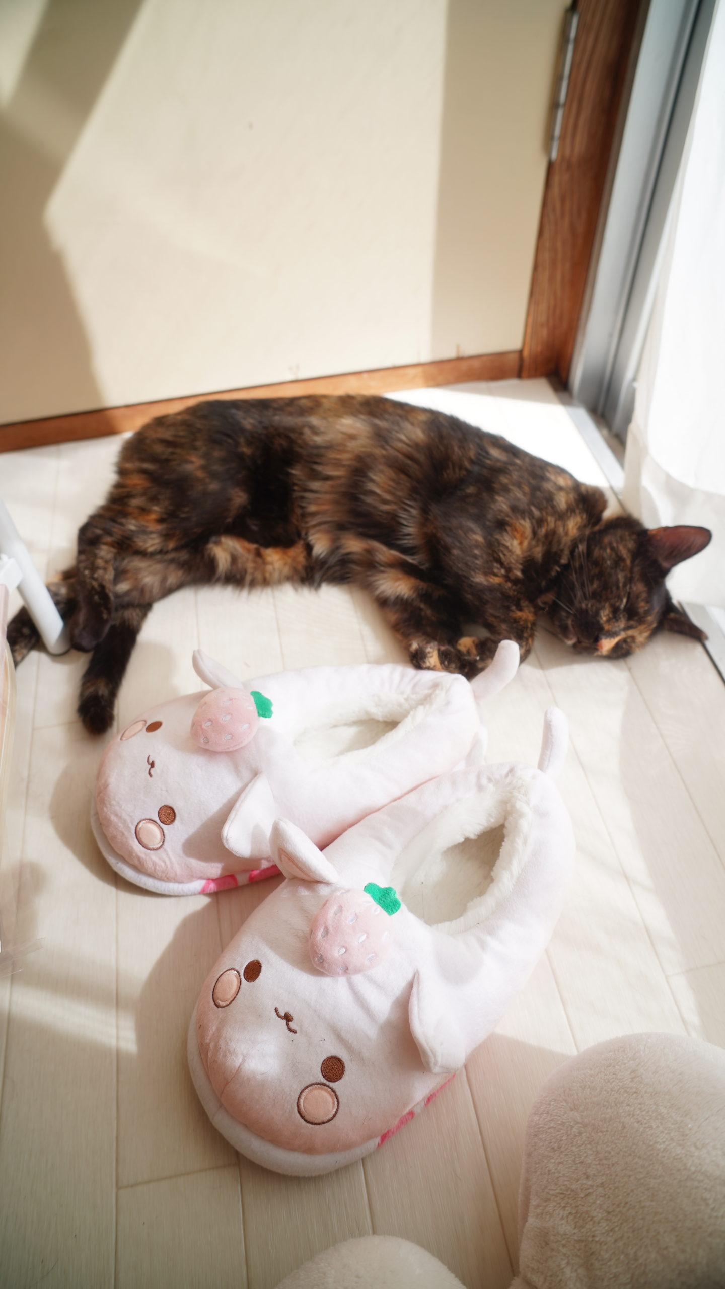 🍓 Ichipan ZAPATILLAS - Colección Konbini (コンビニ) a la 1:00 A.M. - 画像 (2)
